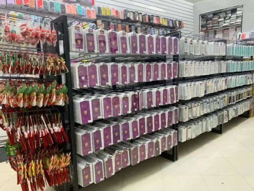 米蘭百貨店老板最愛逛的電子產(chǎn)品批發(fā)中心太壕了 進貨就送蘋果手機蘋果電腦